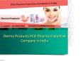 Derma Products PCD Pharma Franchise Company in India PowerPoint PPT Presentation