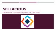 Professional e-Commerce & Marketplace Software