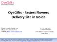 OyeGifts - Fastest Flowers Delivery Site in Noida
