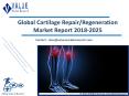 Cartilage Repair/Regeneration Market: Global Industry Analysis and Forecast to 2025 PowerPoint PPT Presentation