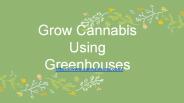 Grow Cannabis Using Greenhouses