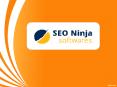 Free Robots.txt Generator | SEO NINJA SOFTWARES PowerPoint PPT Presentation