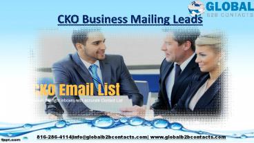 CIO Business Mailing Leads