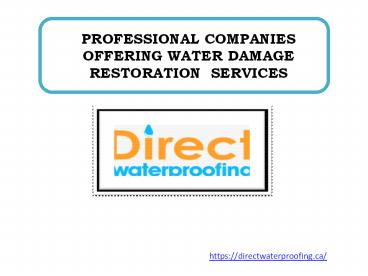 PROFESSIONAL COMPANIES OFFERING WATER DAMAGE RESTORATION  SERVICES