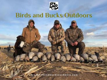 Colorado Duck Hunting