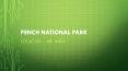 Pench National Park Tour Packages PowerPoint PPT Presentation