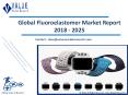 Fluoroelastomer Market Research Report | Forecast to 2025 PowerPoint PPT Presentation