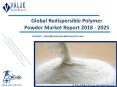 Redispersible Polymer Powder Market | Industry Analysis Report, 2018-2025 PowerPoint PPT Presentation