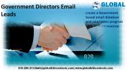 Government Directors Email Leads