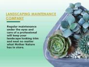 Bi-weekly Landscape maintenance Santa Barbara