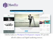 WordPress Development - Best Choice for Business