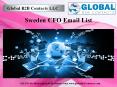 Sweden CFO Email List PowerPoint PPT Presentation