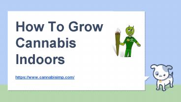 How To Grow Cannabis Indoors