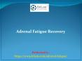 Adrenal Fatigue Recovery PowerPoint PPT Presentation