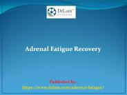 Adrenal Fatigue Recovery