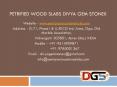 Petrified Wood Slabs Divya Gem Stonex PowerPoint PPT Presentation
