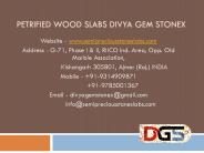 Petrified Wood Slabs Divya Gem Stonex