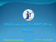 Divemaster Internship