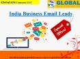 India Business Email Leads PowerPoint PPT Presentation