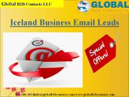 Iceland Business Email Leads