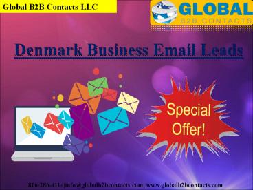 Denmark Business Email Leads