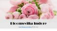 Send Flowers To Indore | Flower Delivery In Indore PowerPoint PPT Presentation