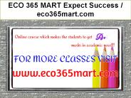 ECO 365 MART Expect Success / eco365mart.com