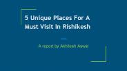Camping in Rishikesh