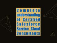 Complete understanding of Certified Salesforce Service Cloud Consultants