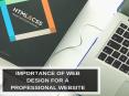 Importance Of Web Design For A Professional Website PowerPoint PPT Presentation