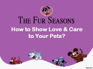 How to Show Love & Care to Your Pets?