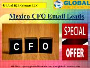 Mexico CFO Email Leads
