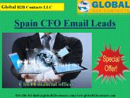 Spain CFO Email Leads
