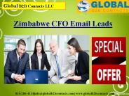 Zimbabwe CFO Email Leads