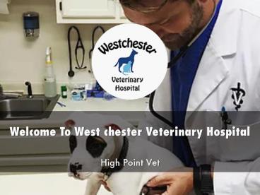Detail Presentation About Westchester Veterinary Hospital