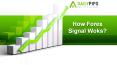 How Forex Signal Woks? PowerPoint PPT Presentation