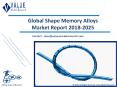 Shape Memory Alloys Market | Global Share, Size, Outlook, Trend and Forecast, 2018 – 2025 PowerPoint PPT Presentation