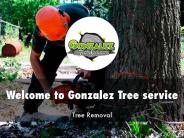 Information Presentation Of Gonzalez Tree service
