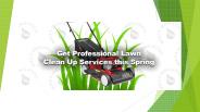 Get Professional Lawn Clean Up Services this Spring