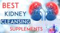 Best Kidney Cleansing Supplements, Improve Gallbladder Function PowerPoint PPT Presentation