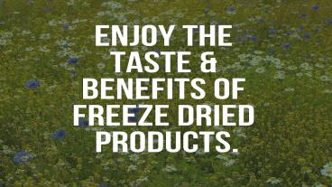 Nattfru - Freeze Dried Fruits & Veggies