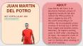 Juan Martin del Potro’s Net Worth, Salary and Endorsements PowerPoint PPT Presentation