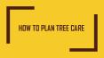 How to Plan Tree Care PowerPoint PPT Presentation