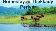 Best Homestays in Thekkady