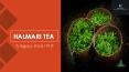 Oolong tea Bags UK- Halmari Tea (1) PowerPoint PPT Presentation