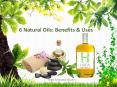 The Secret of Successful 6 Natural Oils with Their Benefits and Use PowerPoint PPT Presentation