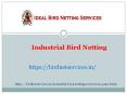 Industrial Bird Netting Service In Chakan,Bhosari,Balewadi,Pimpri-Chinchwad,Wakad,Warje,Hinjewadi,Pune | Shree Sai Services PowerPoint PPT Presentation