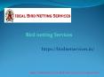 Bird Netting Services hinjewadi,karvenagar,kothrud,Nigdi,Pimpri-Chinchwad,Wakad,Pimple-Saudagar,Baner,Balewadi,Pune | Ideal Bird Net PowerPoint PPT Presentation