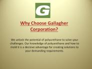 Why Gallagher? Expertise, Partnership, and Delivery On Our Promise