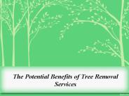 Benefits of Tree Removal Services